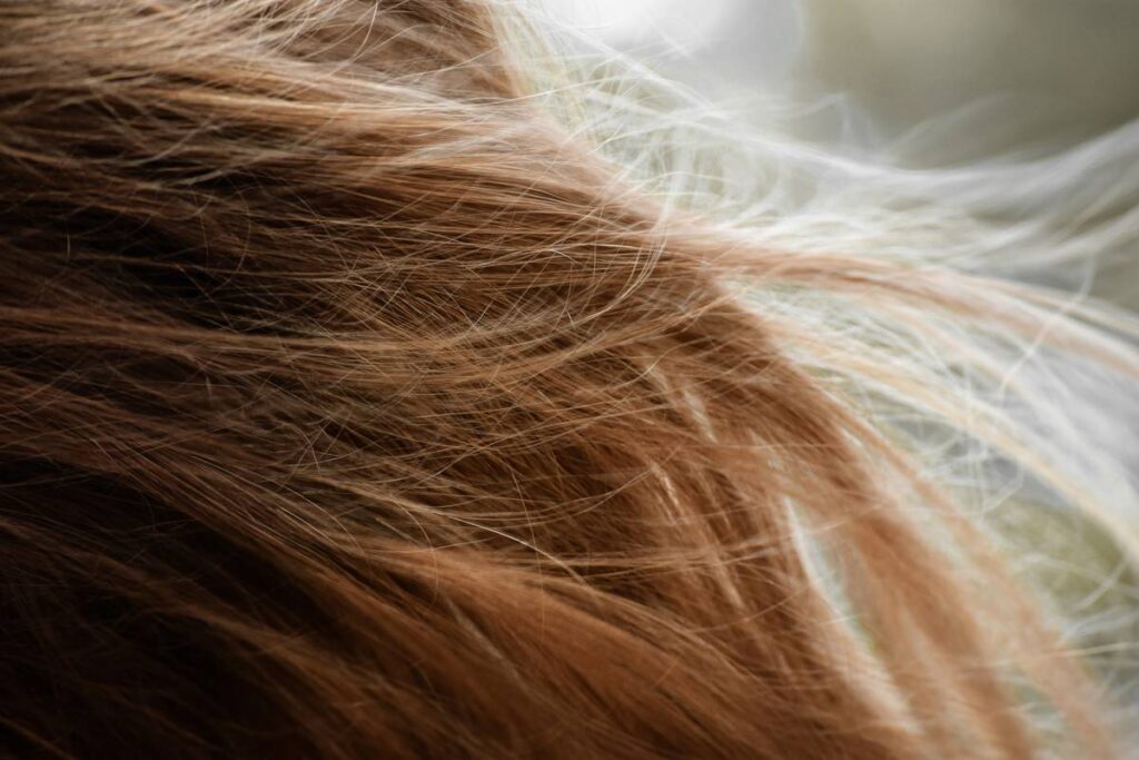 ombre hair styling: The Art, Science, and Secret Behind Flawless Blends