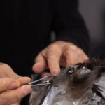 Ombre Hair Creation: 7 Proven Tips to Avoid Costly Mistakes
